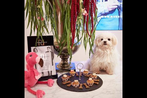 River Island unveiled “the world’s first styling service for dogs, by dogs,” the Dog Style Studio.
